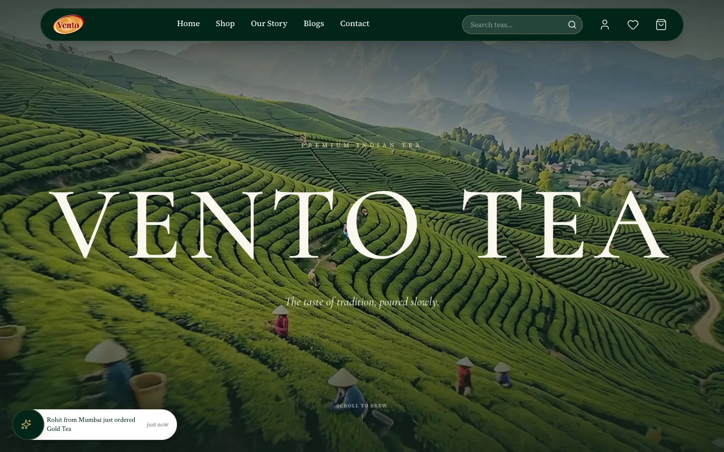 Vento Tea homepage with a tea-estate hero and the brand name in large serif type